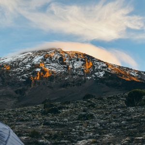 kilimanjaro