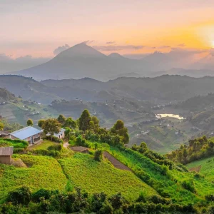 uganda