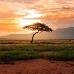 kenya NP
