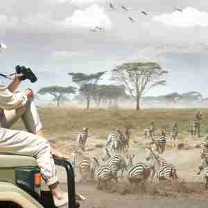 tanzania