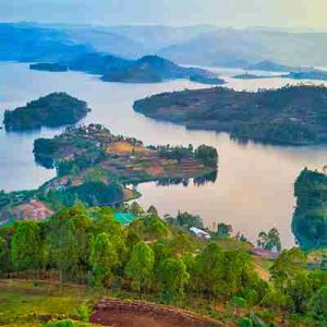 bunyonyi