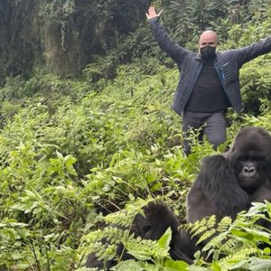 gorilla trekking