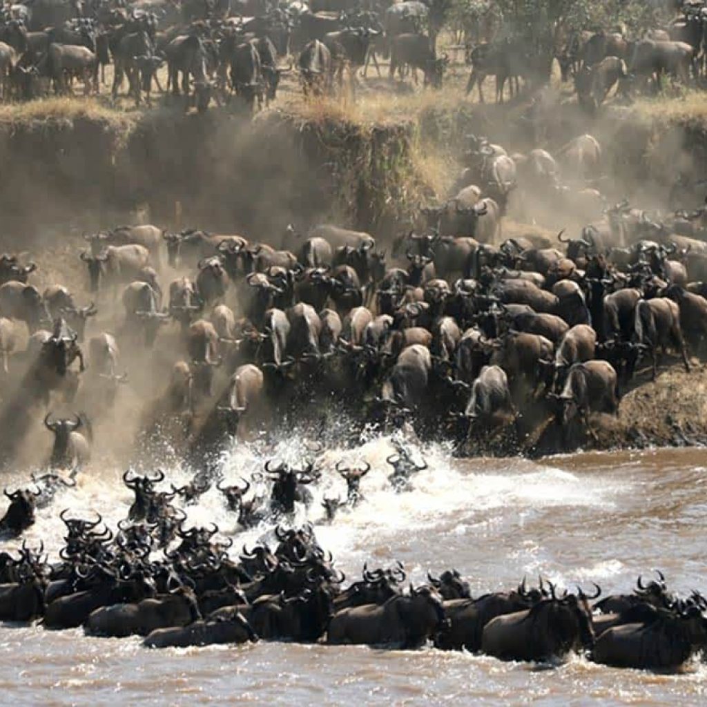 great migration