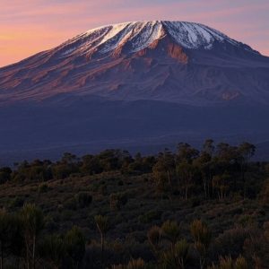 mt kilimanjaro