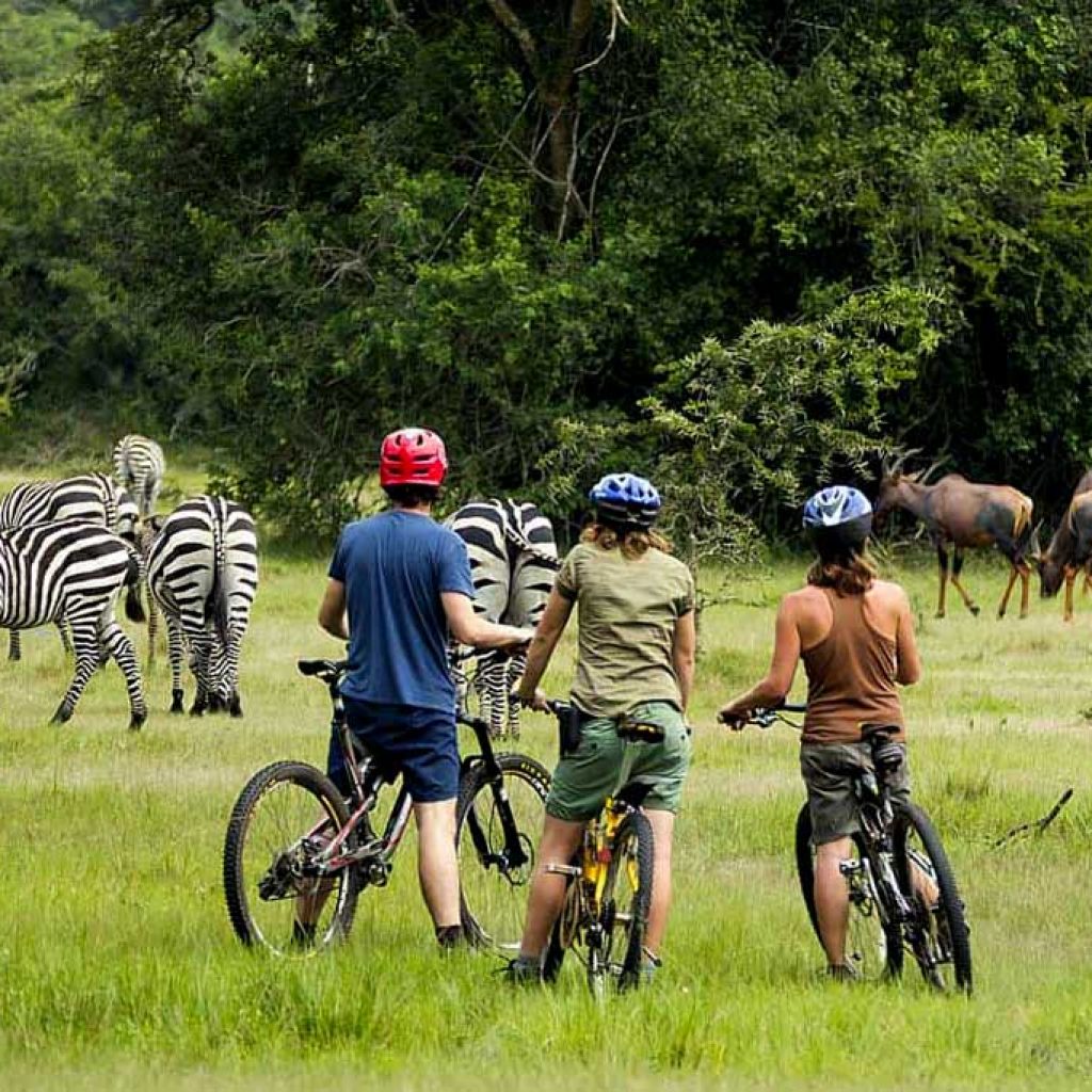 lake Mburo Np